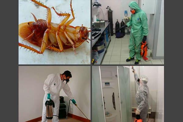 Дезинфекция помещений и ее необходимость Дезинфекция помещений и ее необходимость
