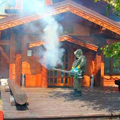 Фумигация деревянных домов