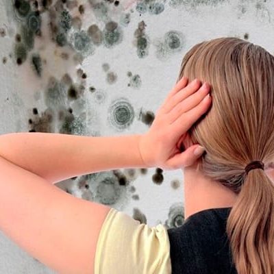 Плесень в квартире как избавиться